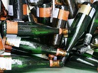 2015 Wein 282  Die Frösche waren da!